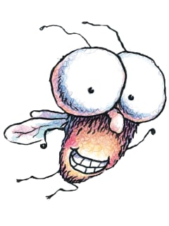 Eisemann Center Presents Fly Guy and Other Stories!