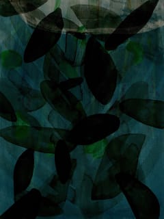 Liliana Bloch Gallery presents From Dijon to Dallas