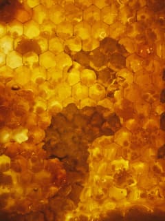 Texas Keeper Cider presents Honey Festival 2016