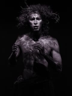 The Legend of The Faun and The Journey