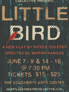 Little Bird