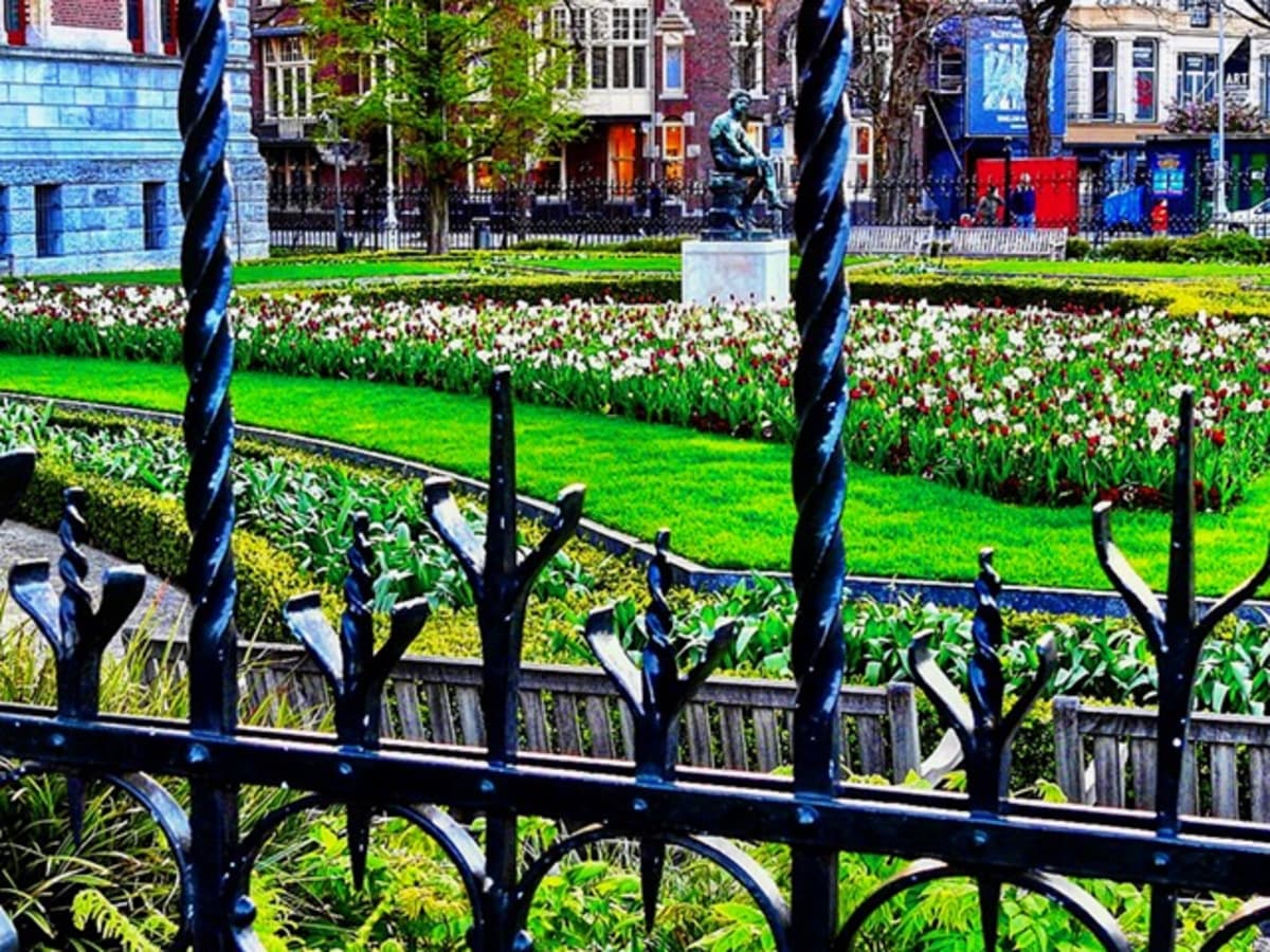 Tulips in Holland
