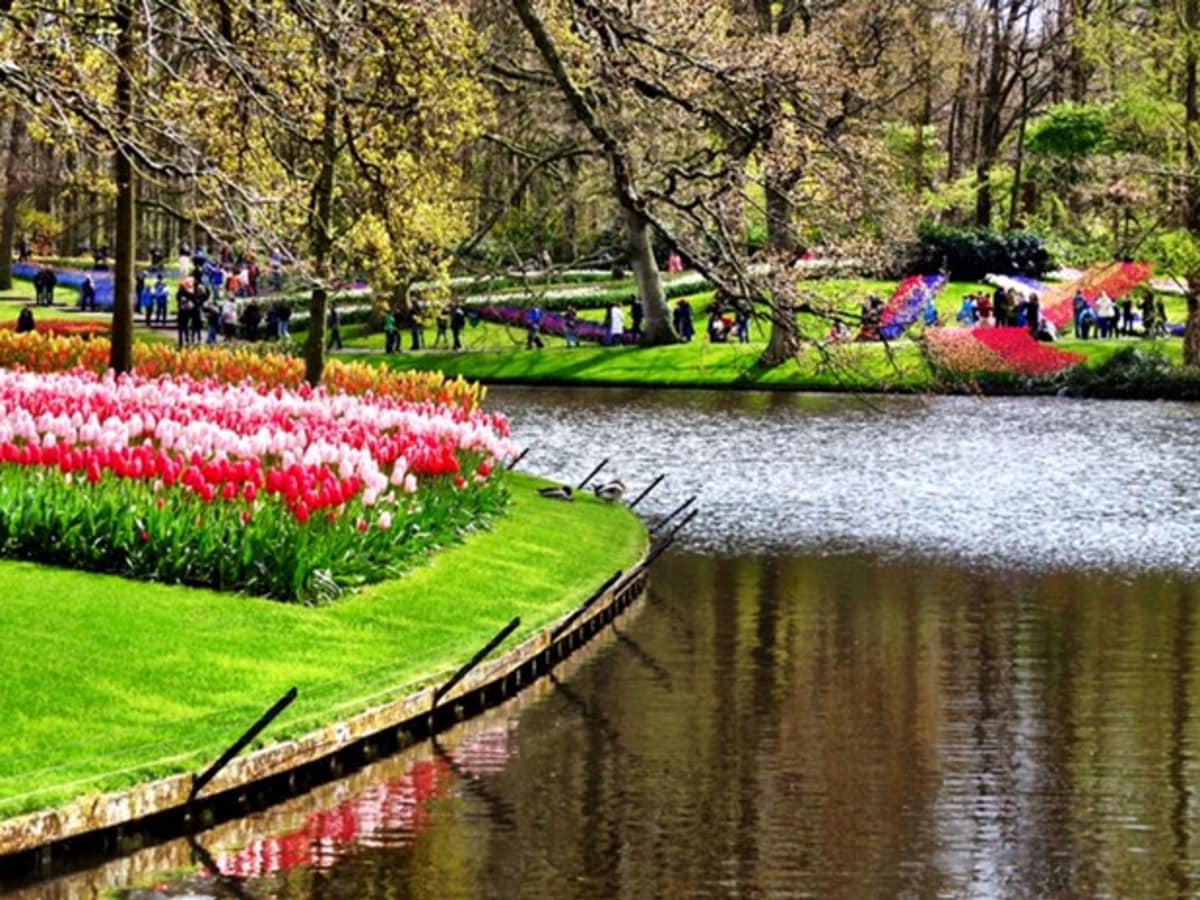Keukenhof Gardens