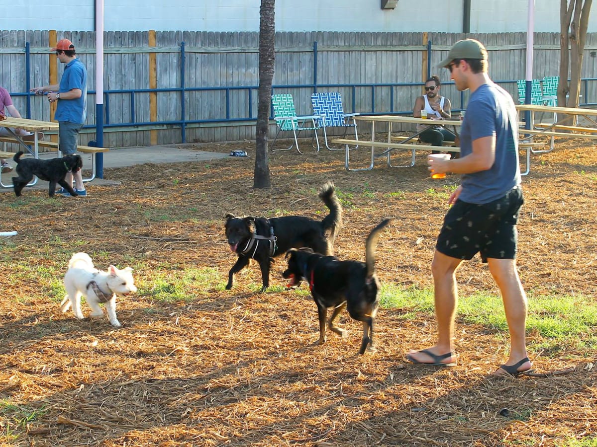 Hotly anticipated dog park and bar now open in North Central Austin