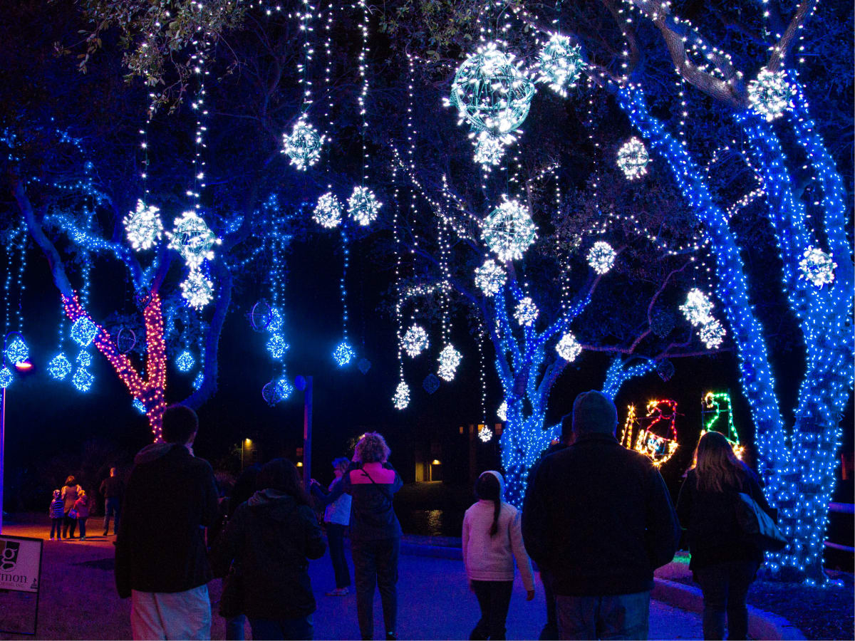 Festival of Lights at Moody Gardens