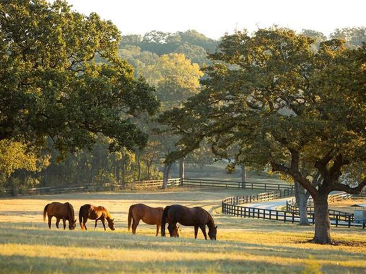 Furst Ranch, 1157 W. Jeter Road, Bartonville