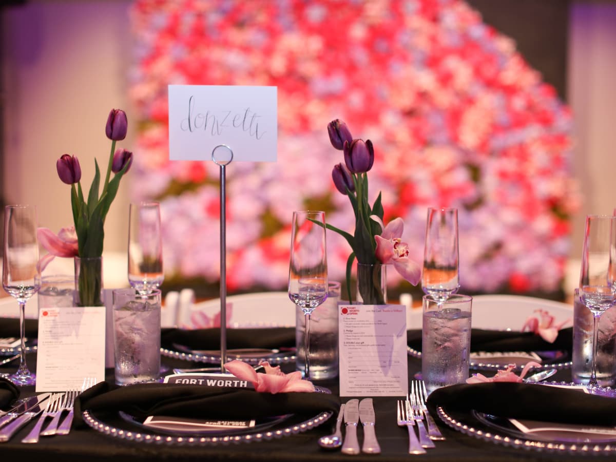 Fort Worth Opera Gala 2018