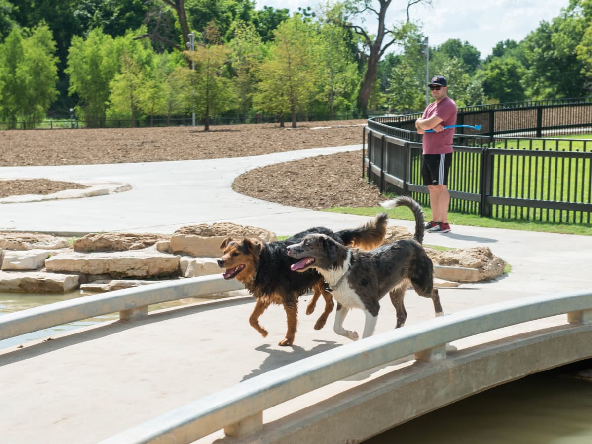Johnny Steele Dog Park Allen Parkway