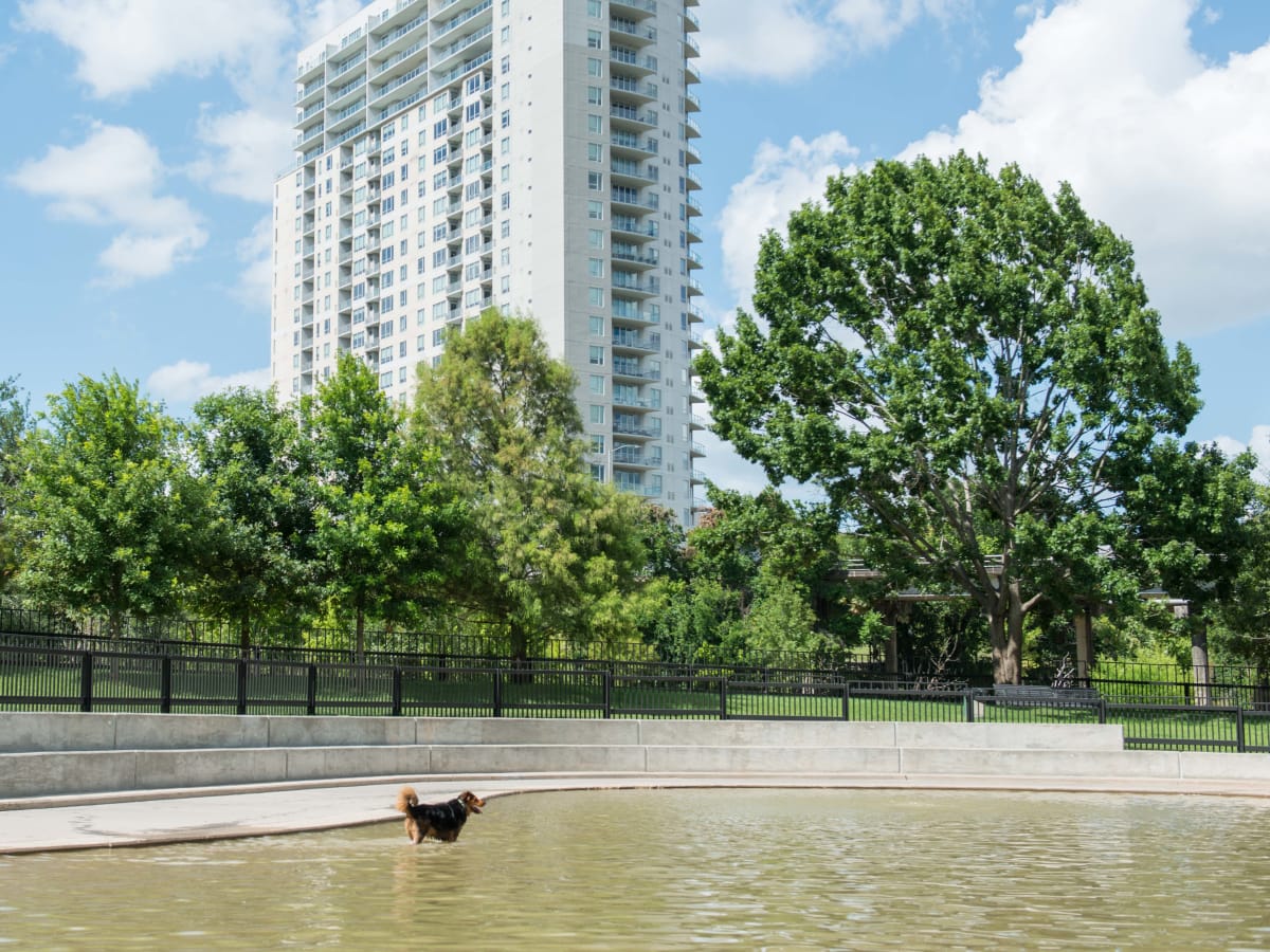 Johnny Steele Dog Park Allen Parkway dog in water