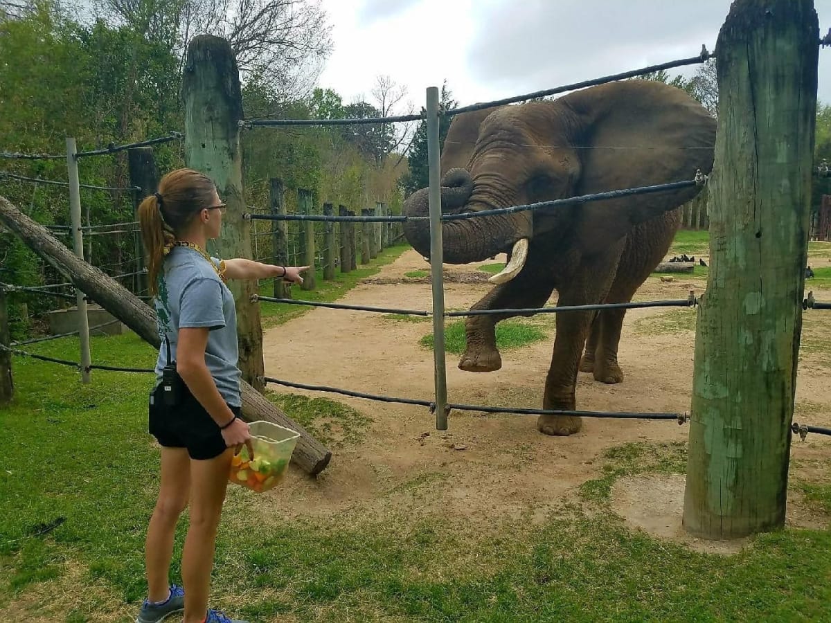 Cameron Park Zoo Waco