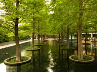 Fountain Place in Dallas