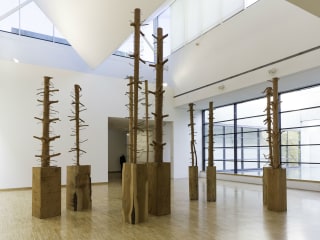 Nasher Sculpture Center presents Giuseppe Penone