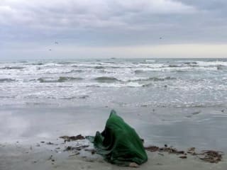 Liliana Bloch Gallery presents Alice Bidault and Andrew Davis: From Dijon to Dallas