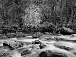 Sun to Moon Gallery presents <i>National Park Service @ 100: A Photographic Celebration</i>