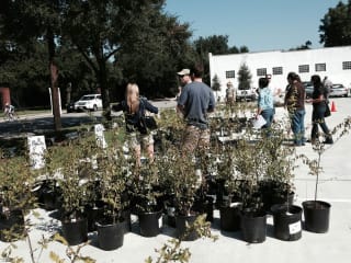 The Houston Heights Association presents Yale Green Corridor Dedication