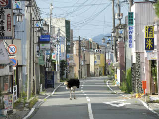 Asia Society Texas Center presents In the Wake: Japanese Photographers Respond to 3/11
