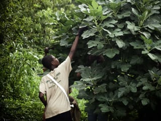 Urban Roots presents The 5th Annual Seed to Harvest Kickoff