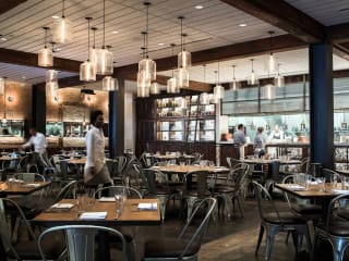 CBD Provisions