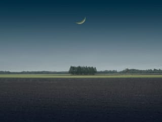 PDNB Gallery presents Kazz Morishita: Moonlight Serenade
