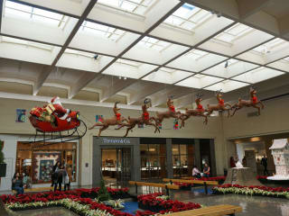 Black Friday at NorthPark Center Reindeer Park and Festival