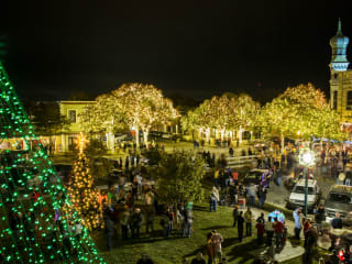 Georgetown's Annual Lighting of the Square