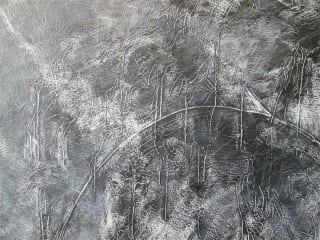 Haley-Henman Gallery presents Nicholas Troilo: Experiments in Black & White