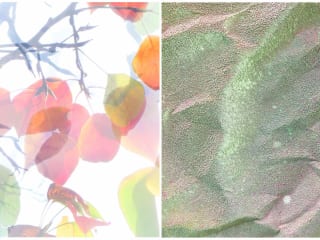 grayDUCK Gallery presents Elizabeth Chiles & John Swanger: Lumens & Currents opening reception