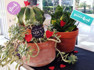 Texas Discovery Gardens presents Love is in the Air