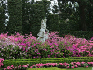 River Oaks Garden Club presents 82nd Annual Azalea Trail