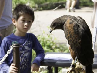 Austin Nature & Science Center presents Celebrate Urban Birds