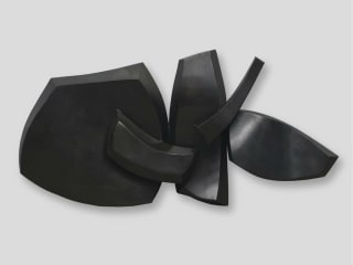 Samuel Lynne Galleries presents Hans Van de Bovenkamp: Through Time