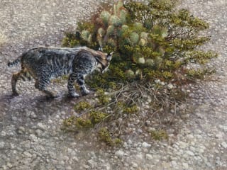 Southwest Gallery presents Robert Fobear: Nature Embracing Wildlife