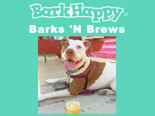 BarkHappy, Inc. presents Barks 'N Brews Party