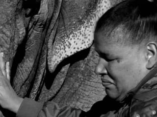 Blanton Museum of Art presents Perspectives: Javier Téllez