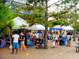 Nicole's Garden presents Houston HealthFest