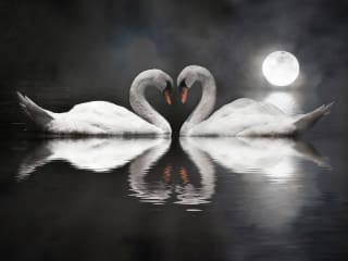 Moores Opera Center presents <i>Romeo and Juliet</i>