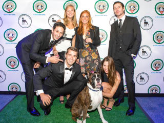 Boxer Bowtie Club 2017 Dallas Gala