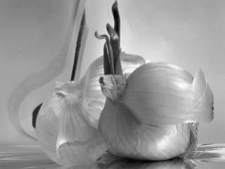 Sun to Moon Gallery presents Alan Ross: Art of the Gelatin Silver Print