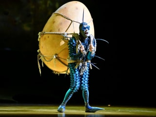 Cirque du Soleil: OVO
