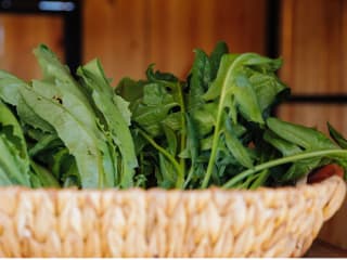 Harvest Green presents National Agriculture Day