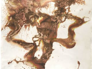 The Jung Center Gallery presents Dora Dillistone: "Earth, Wind and Fire: The Literal Landscape" opening reception