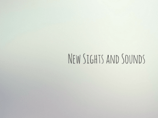 Space City Performing Arts presents New Sights and Sounds