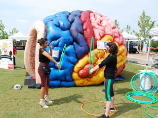 UTHealth Stomp Out Stroke Festival