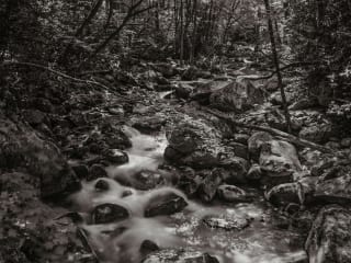Redbud Gallery presents Tim McCoy: The Mark of Time