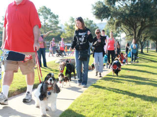 Howl-O-Ween Dog Walk & Costume Contest