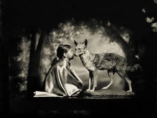 Conversation With a Coyote