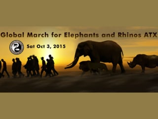 Global March For Elephants and Rhinos - Austin TX