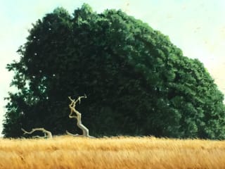 Carolyn Garcia Gallery presents Texas Naturally