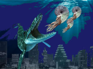 Paleontological Society of Austin presents 25th Annual Fossil Fest