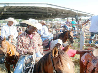 Winter Celebrations: Honoring Houston’s African-American Trail Riders
